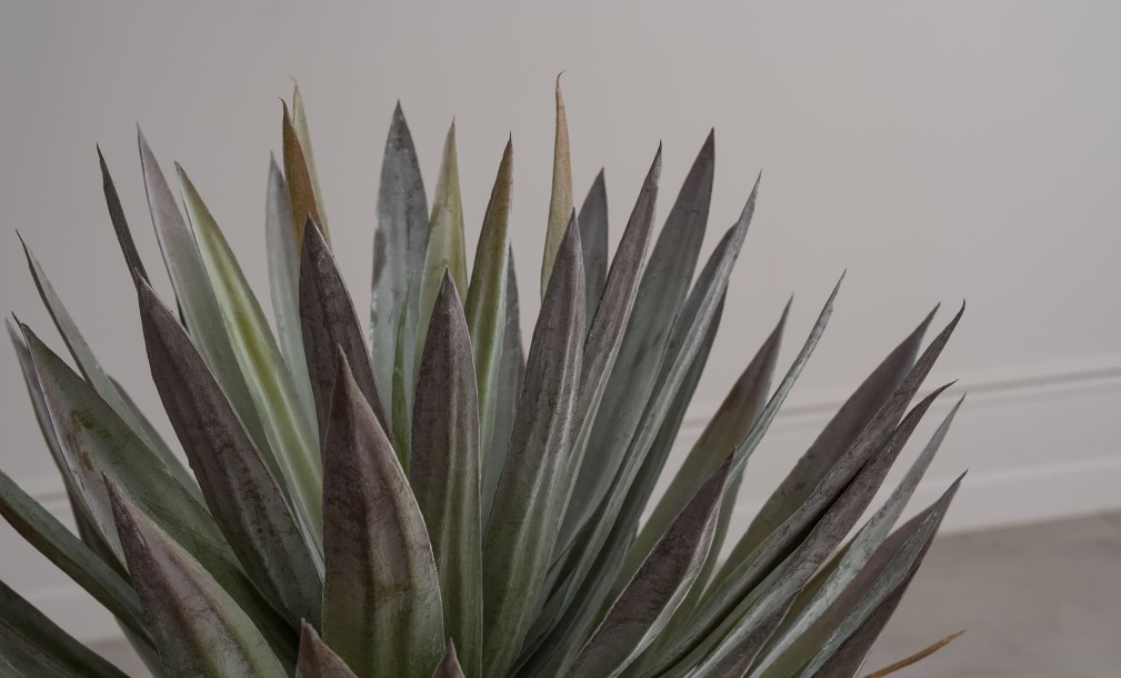 Декоративное искусственное дерево Yucca Tree, 72 см