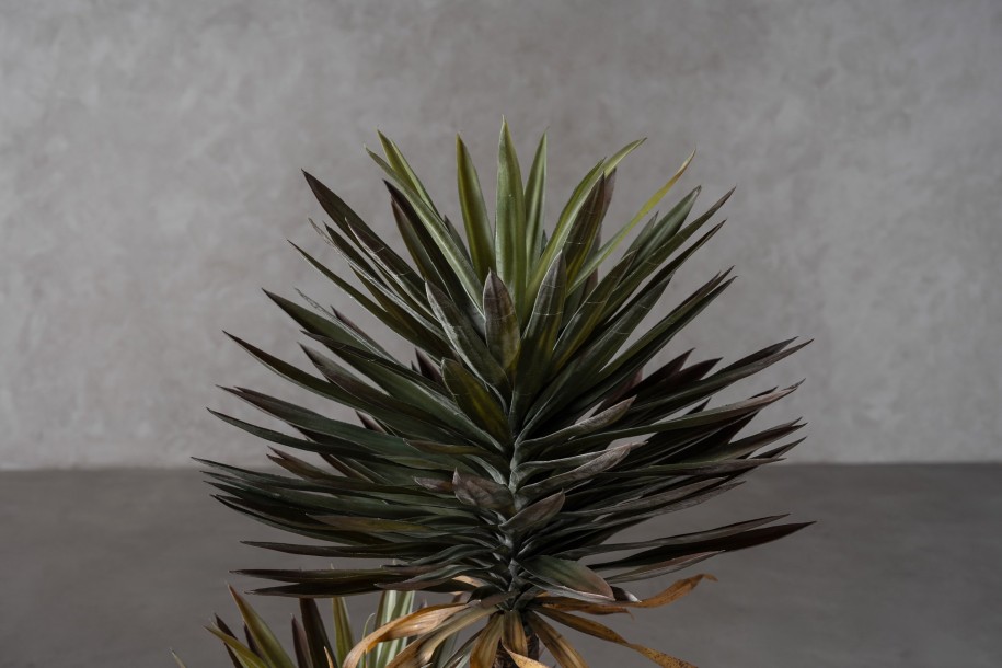 Декоративное искусственное дерево Yucca Tree, выс. 146 см