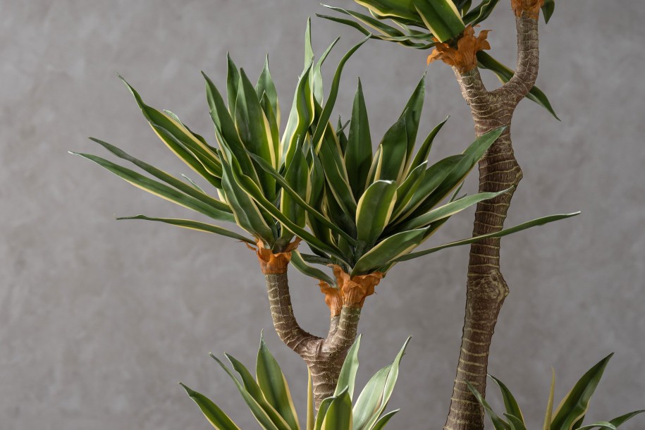 Декоративное искусственное дерево Yucca Tree, выс. 130 см
