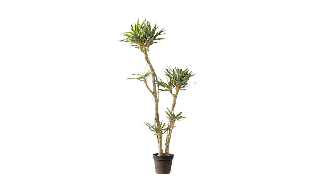 Декоративное искусственное дерево Agave Tree, выс. 155 см