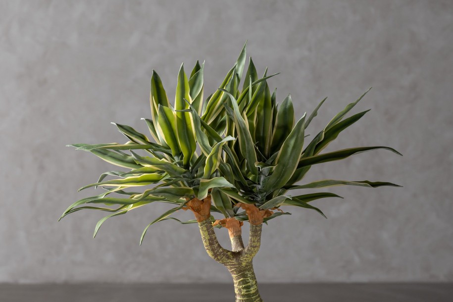 Декоративное искусственное дерево Agave Tree, выс. 155 см