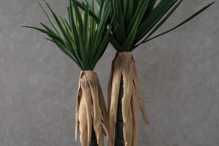 Декоративное искусственное дерево Aloe Tree, выс. 150 см