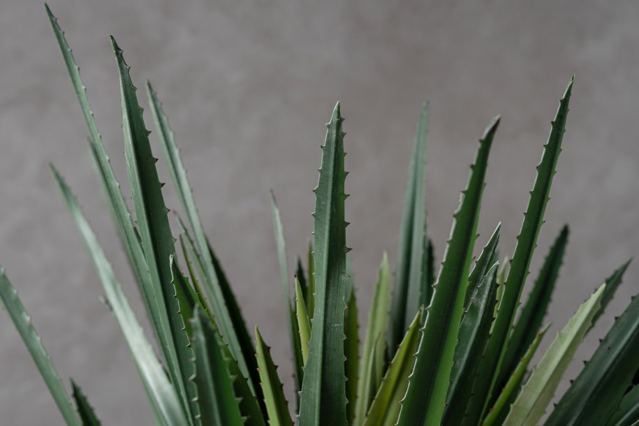 Декоративное искусственное дерево Aloe Tree, выс. 150 см