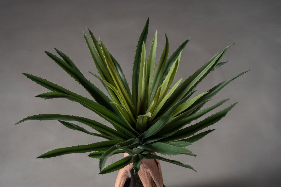 Декоративное искусственное дерево Aloe Tree, выс. 90 см