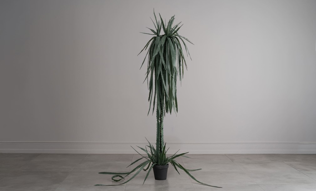 Декоративное искусственное дерево Dragon Fruit Tree, 220 см