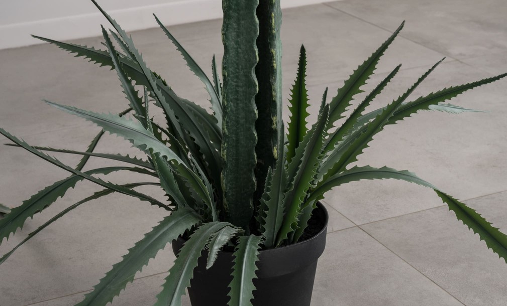 Декоративное искусственное дерево Dragon Fruit Tree, 220 см