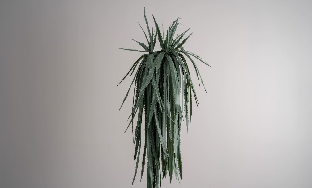 Декоративное искусственное дерево Dragon Fruit Tree, 220 см