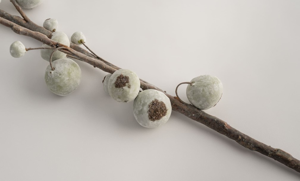 Декоративная искусственная ветвь Persimmon Branch, 79 см