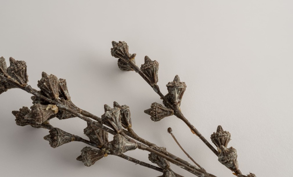 Декоративная искусственная ветвь Eucalyptus Branch, 75 см
