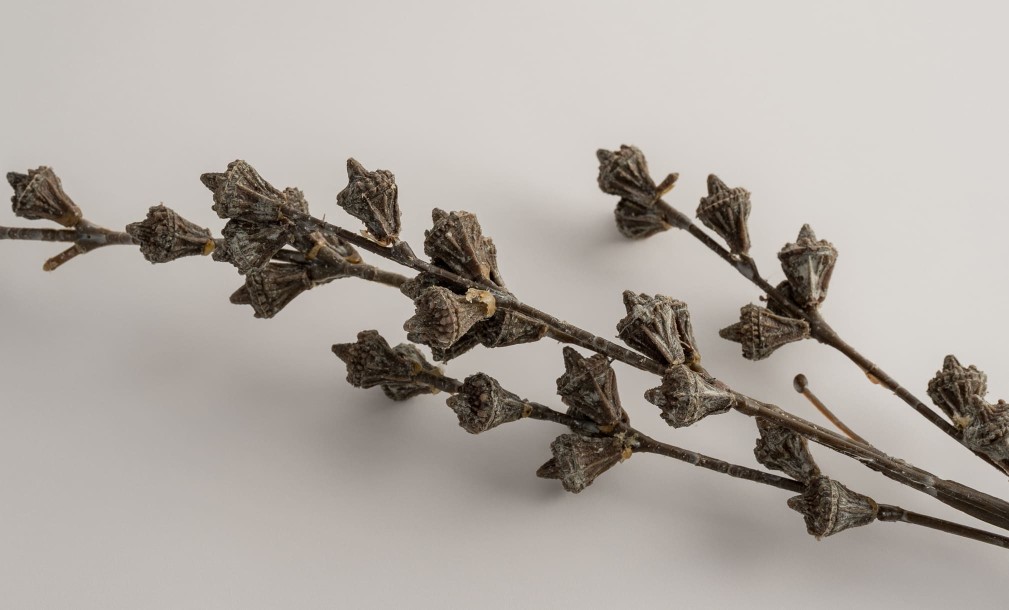 Декоративная искусственная ветвь Eucalyptus Branch, 75 см