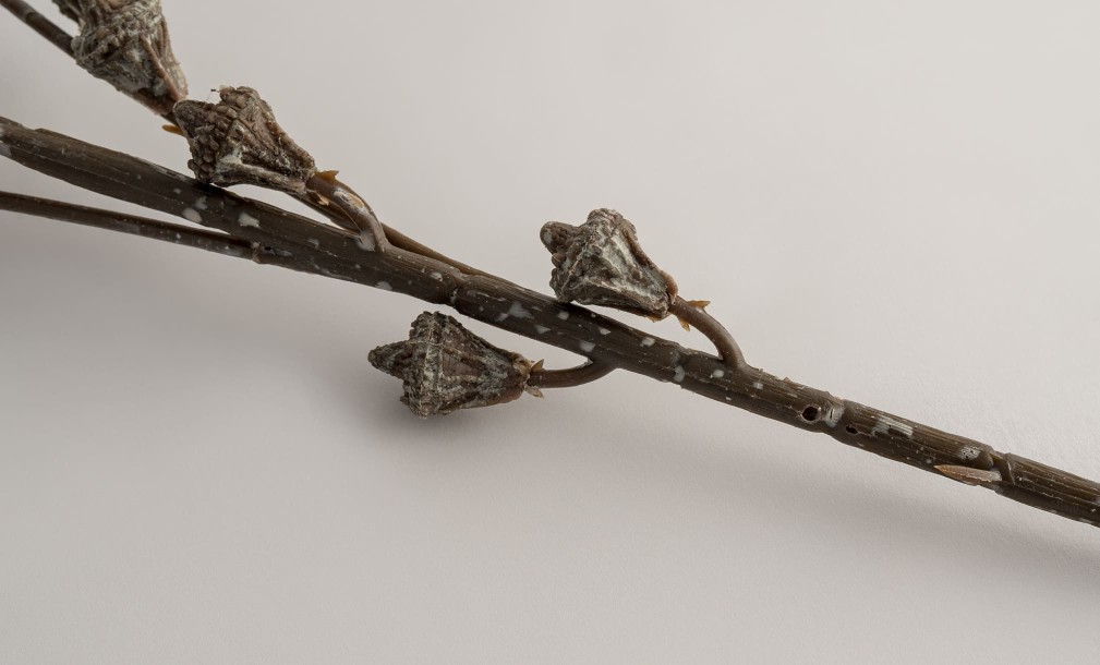 Декоративная искусственная ветвь Eucalyptus Branch, 75 см