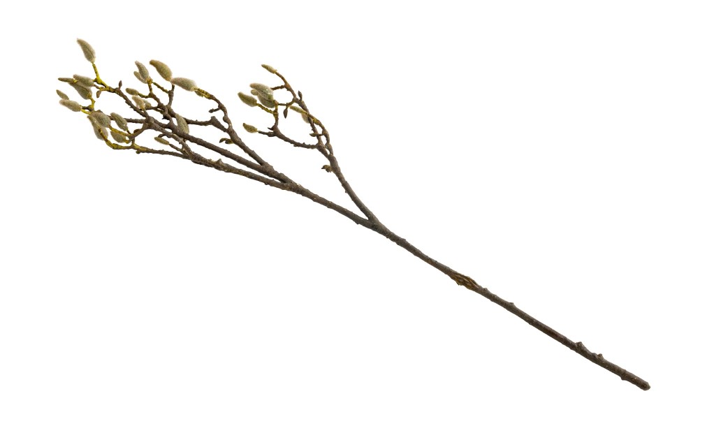 Декоративная искусственная ветвь Tropical Fruit Branch, 90 см