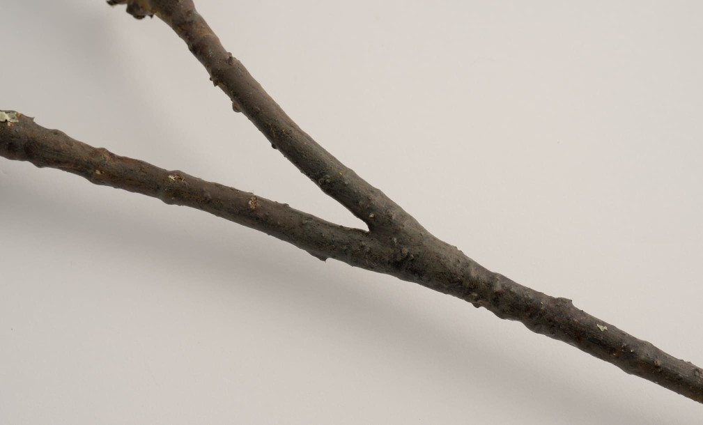 Декоративная искусственная ветвь Tropical Fruit Branch, 90 см