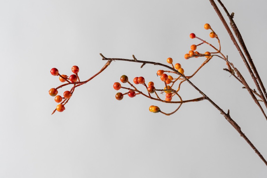 Декоративная искусственная ветвь Kapok Tree Branch, 90 см