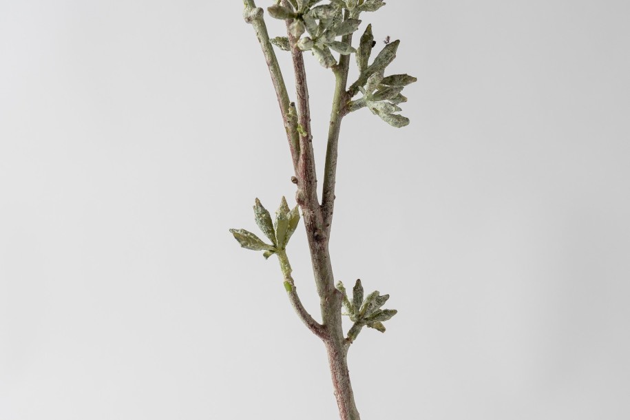 Декоративная искусственная ветвь Eucalyptus Branch, выс. 78 см
