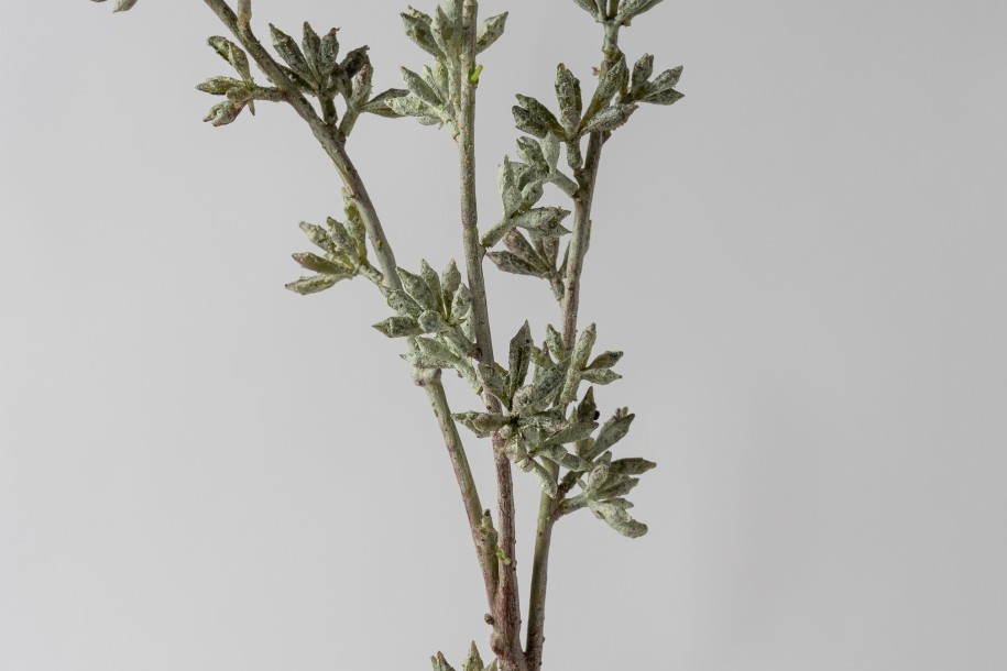 Декоративная искусственная ветвь Eucalyptus Branch, выс. 78 см