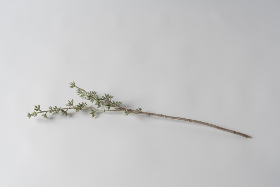 Декоративная искусственная ветвь Eucalyptus Branch, выс. 78 см
