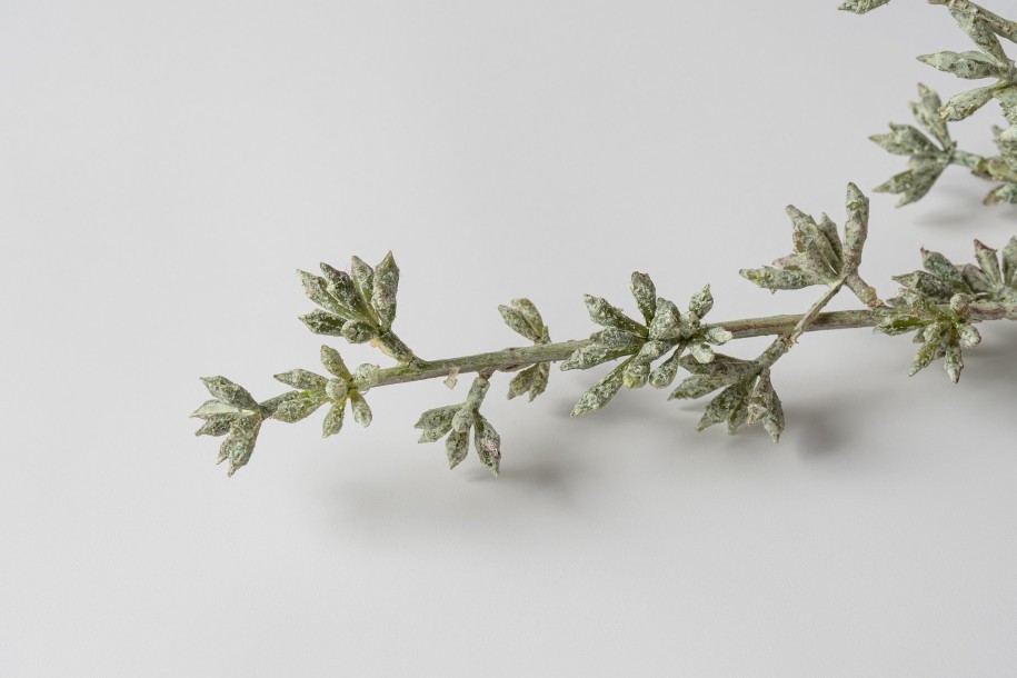 Декоративная искусственная ветвь Eucalyptus Branch, выс. 78 см
