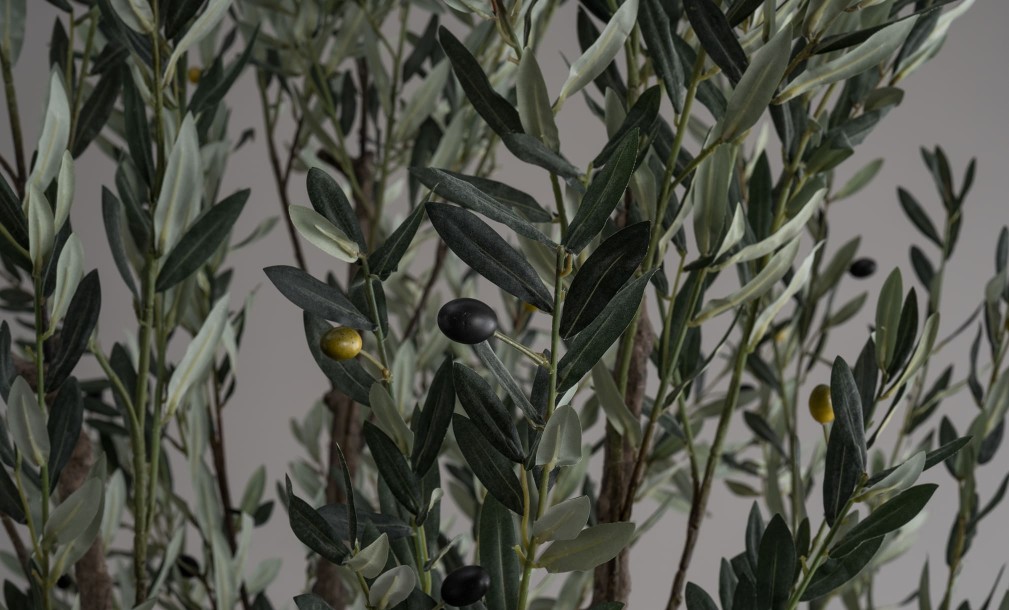 Декоративное искусственное дерево Olive Tree, 300 см