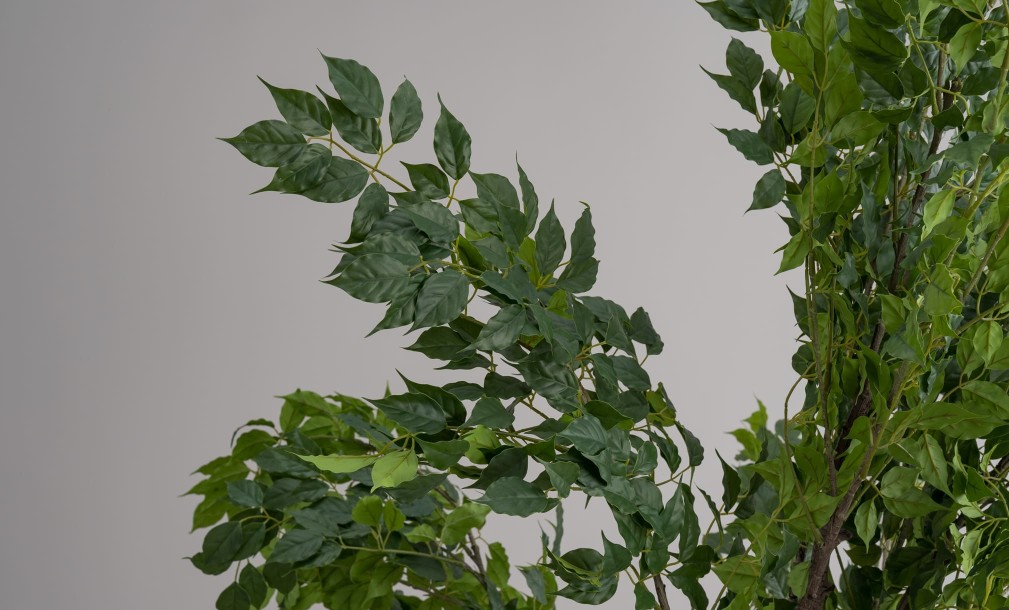 Декоративное искусственное дерево Ginkgo Tree, 240 см