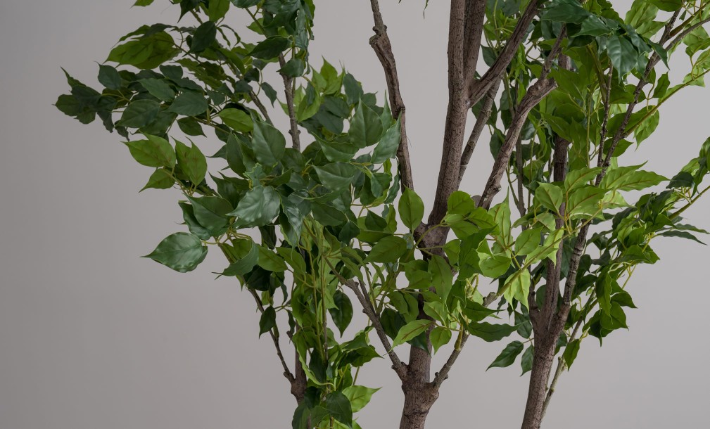Декоративное искусственное дерево Ginkgo Tree, 240 см
