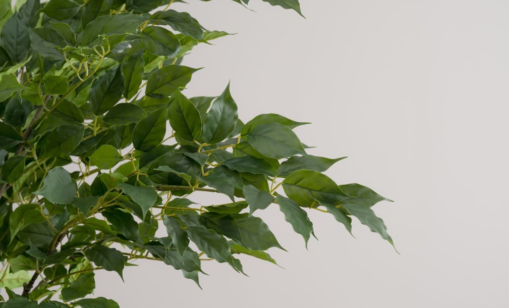 Декоративное искусственное дерево Ginkgo Tree, 210 см