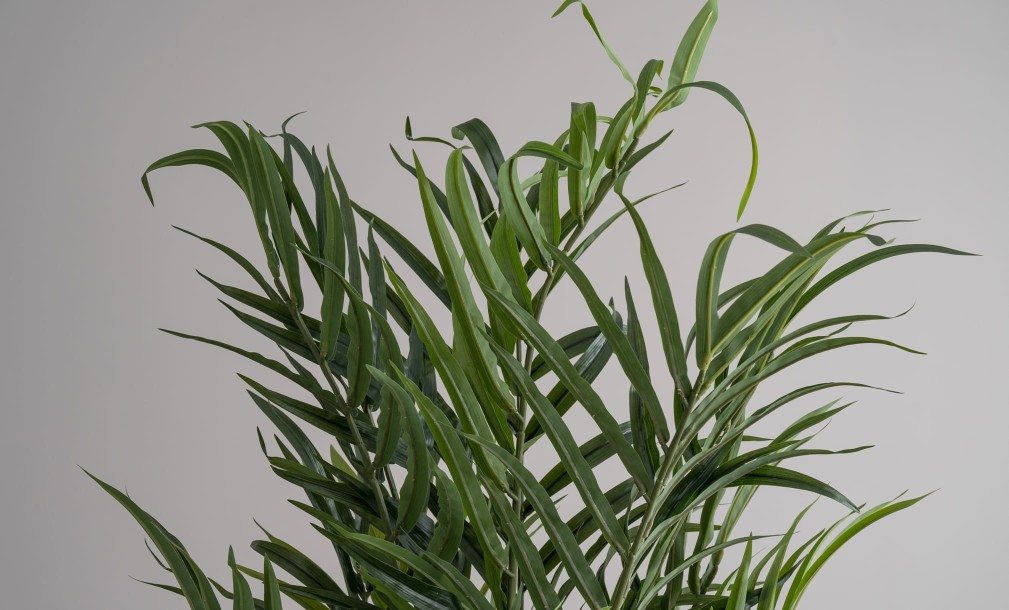Декоративное искусственное дерево Palm Tree, 210 см