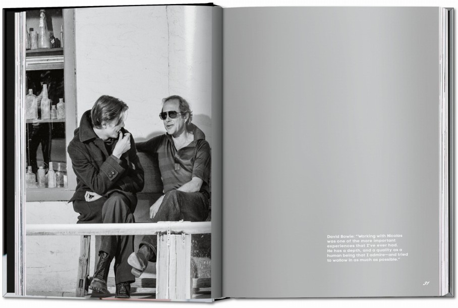 Bowie, Man Who Fell to Earth