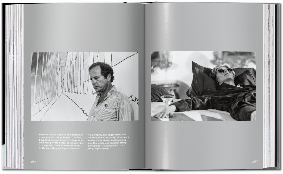 Bowie, Man Who Fell to Earth