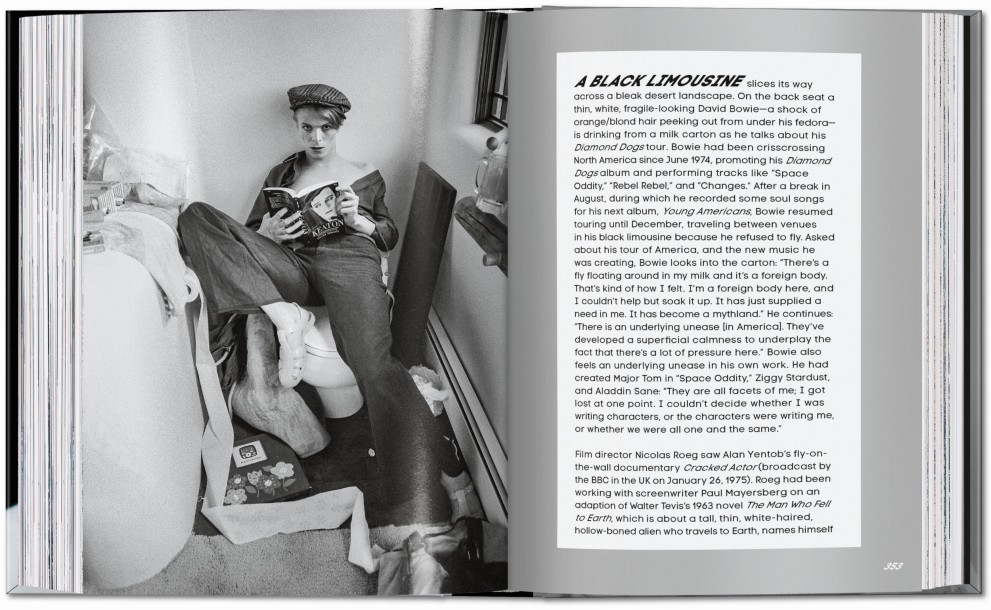 Bowie, Man Who Fell to Earth