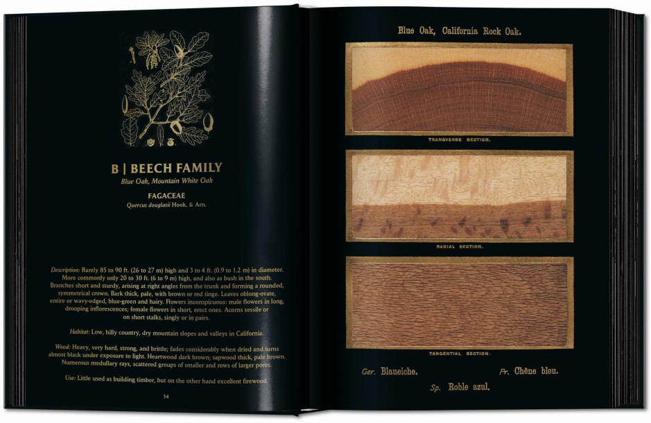 The Woodbook: The Complete Plates