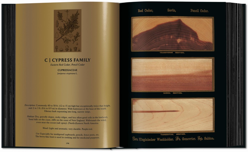 The Woodbook: The Complete Plates