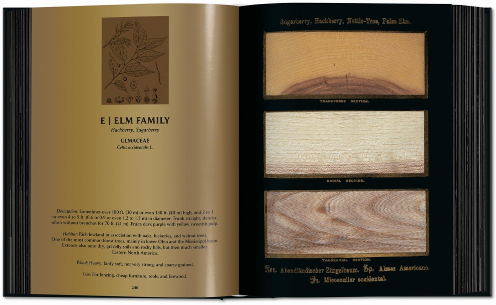 The Woodbook: The Complete Plates