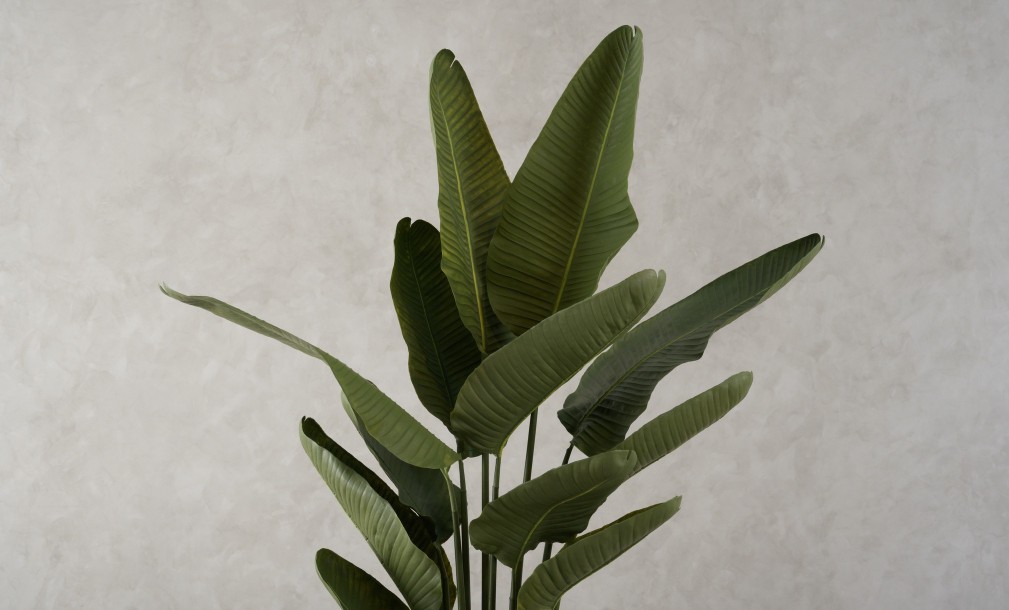 Декоративное искусственное дерево Traveler Banana Tree, выс. 180 см