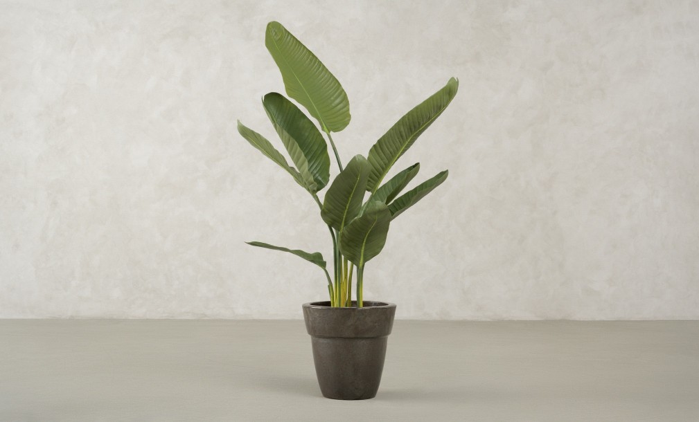 Декоративное искусственное дерево Traveler Banana Tree, выс. 120 см