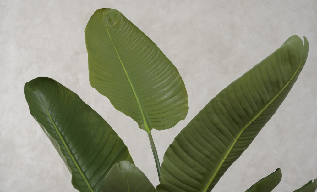 Декоративное искусственное дерево Traveler Banana Tree, выс. 120 см