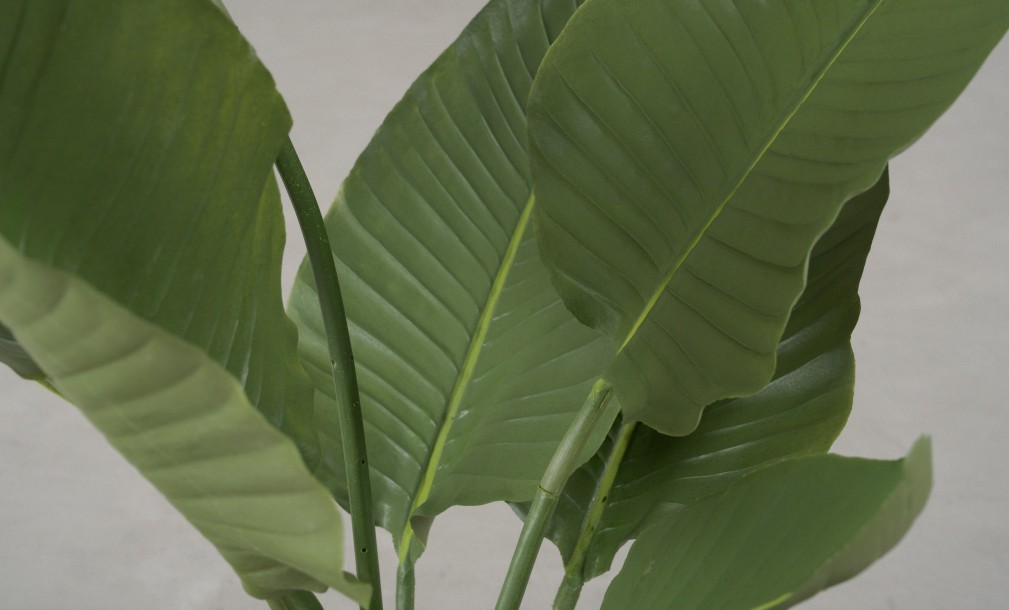 Декоративное искусственное дерево Traveler Banana Tree, выс. 120 см