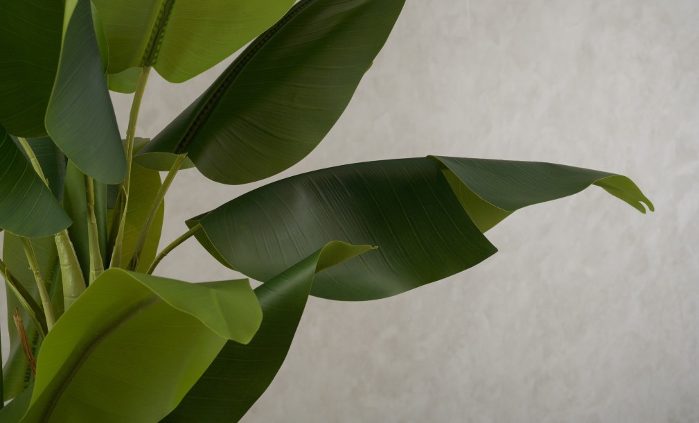 Декоративное искусственное дерево Banana Tree, выс. 220 см