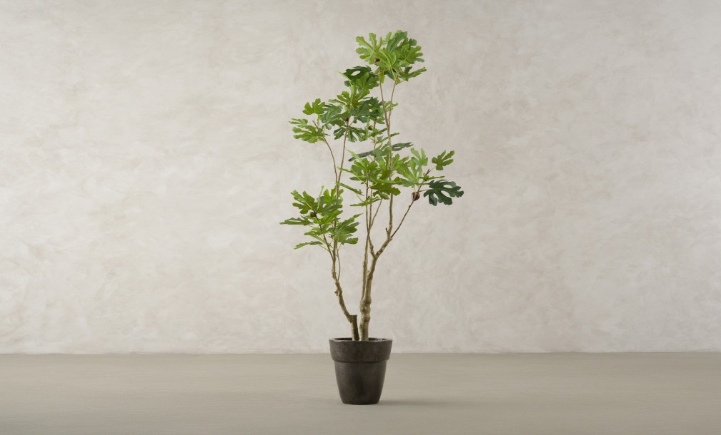 Декоративное искусственное дерево Fig Tree, выс. 180 см