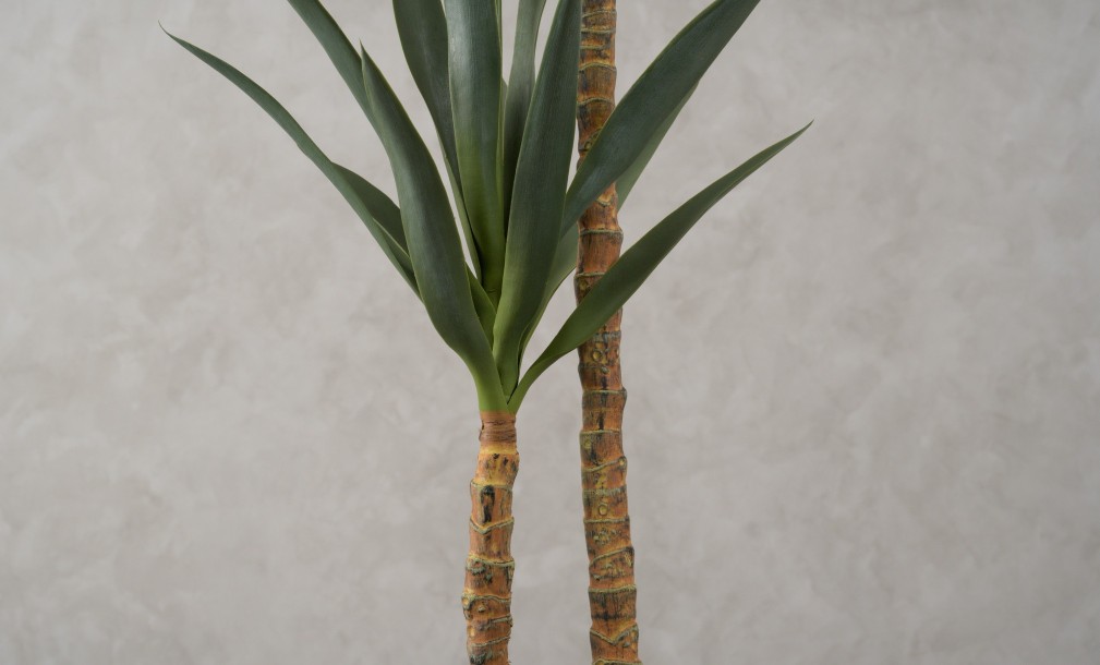 Декоративное искусственное дерево Yucca, выс. 133 см