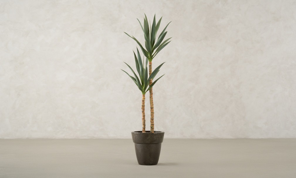 Декоративное искусственное дерево Yucca, выс. 133 см