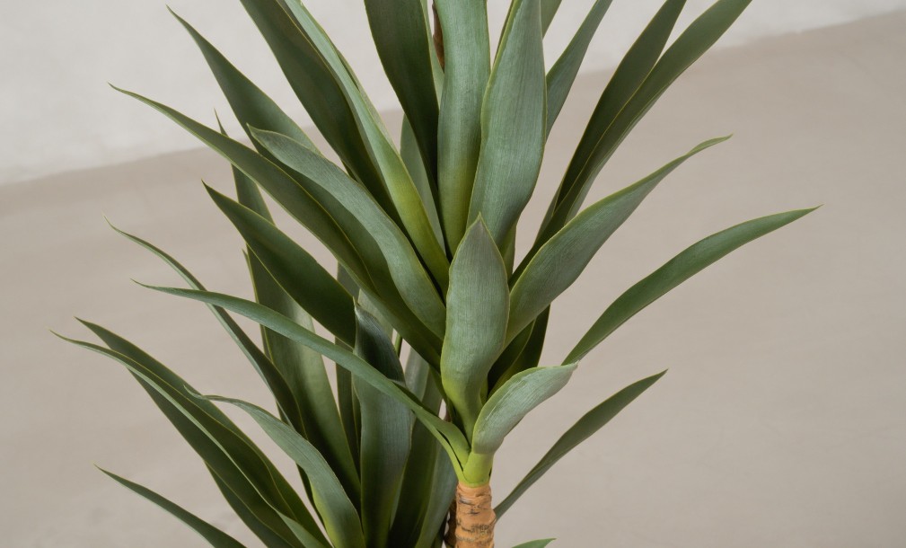 Декоративное искусственное дерево Yucca, выс. 180 см