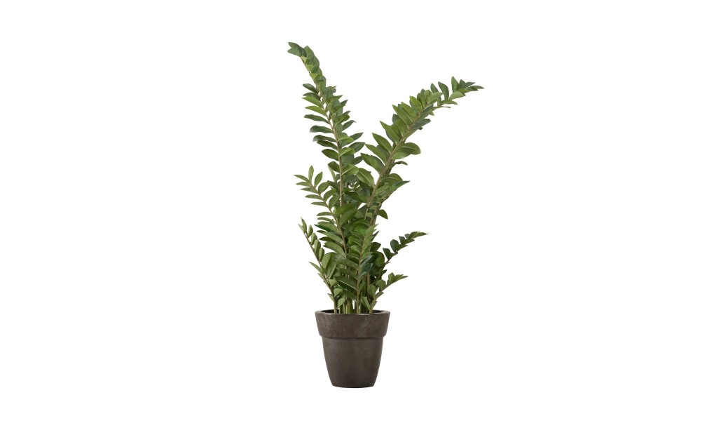 Декоративное искусственное дерево Zamioculcas, выс. 130 см