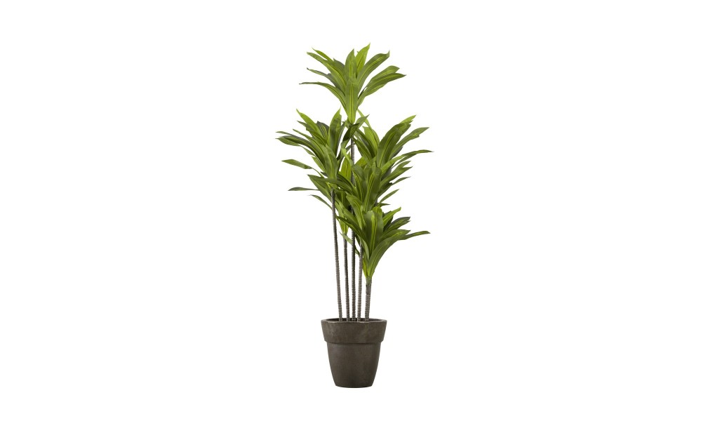 Декоративное искусственное дерево Dracaena, выс. 150 см