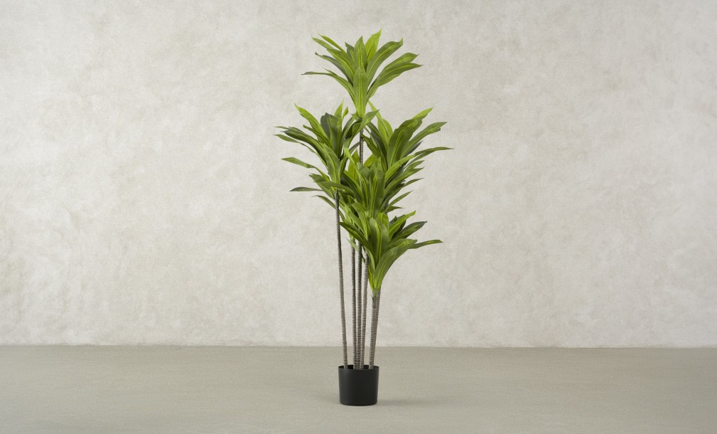 Декоративное искусственное дерево Dracaena, выс. 150 см