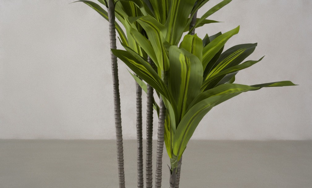 Декоративное искусственное дерево Dracaena, выс. 150 см