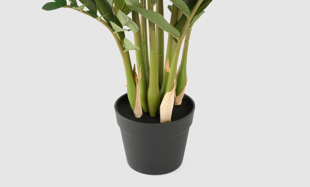 Декоративное искусственное дерево Zamioculcas, выс. 90 см