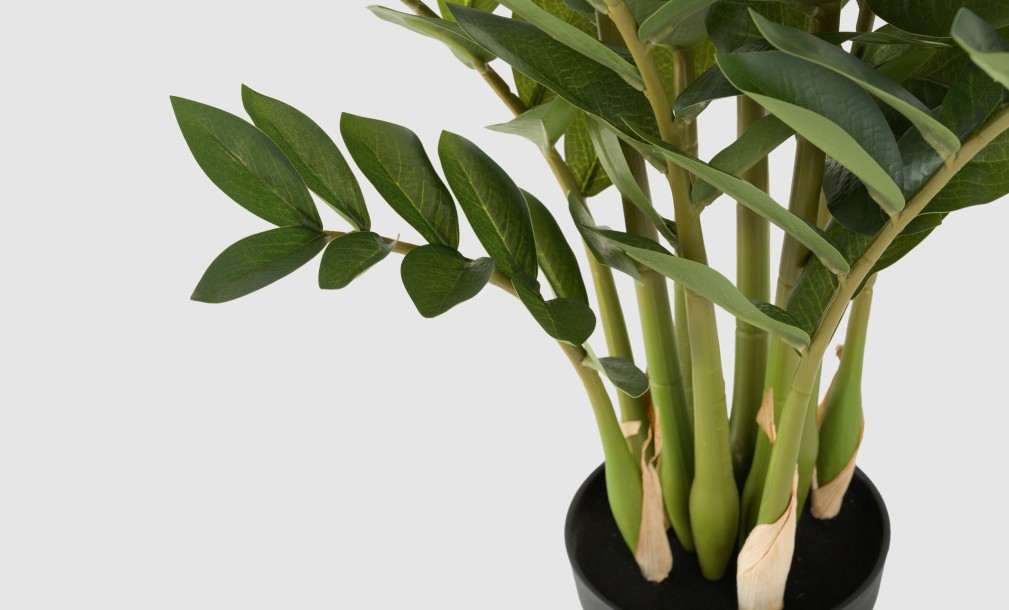 Декоративное искусственное дерево Zamioculcas, выс. 90 см