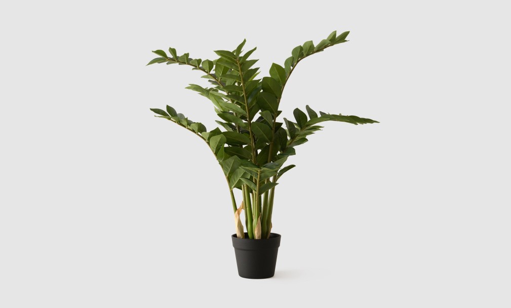 Декоративное искусственное дерево Zamioculcas, выс. 90 см
