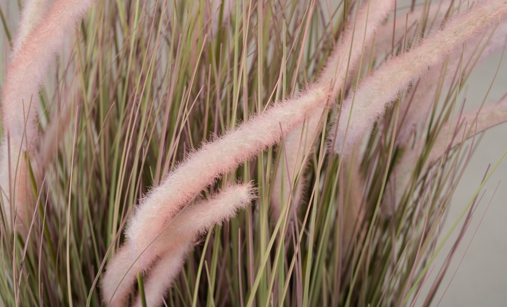 Декоративное искусственное растение Onion Grass, выс. 97 см